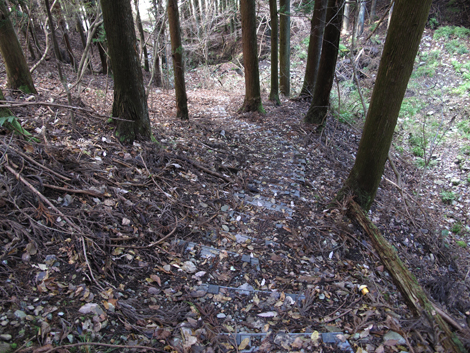 20161216hike (377)